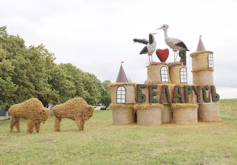 Крот-шахтёр, богомол-переросток и крейсер «Аврора». На полях Беларуси устроили конкурс фигур из соломы