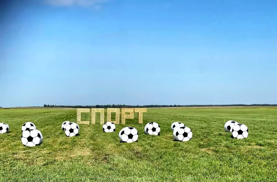 Крот-шахтёр, богомол-переросток и крейсер «Аврора». На полях Беларуси устроили конкурс фигур из соломы