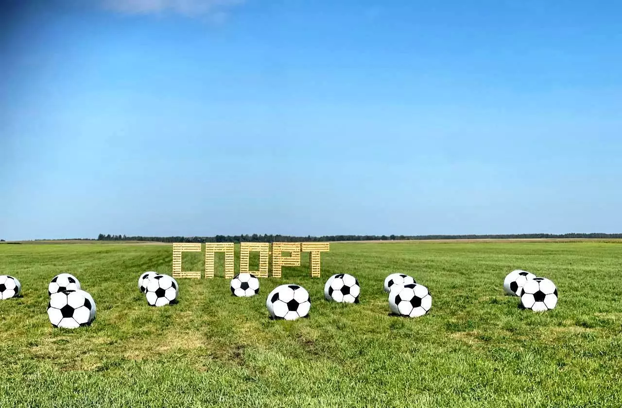 Крот-шахтёр, богомол-переросток и крейсер «Аврора». На полях Беларуси устроили конкурс фигур из соломы