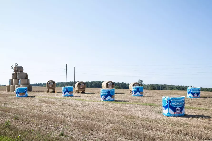 Крот-шахтёр, богомол-переросток и крейсер «Аврора». На полях Беларуси устроили конкурс фигур из соломы