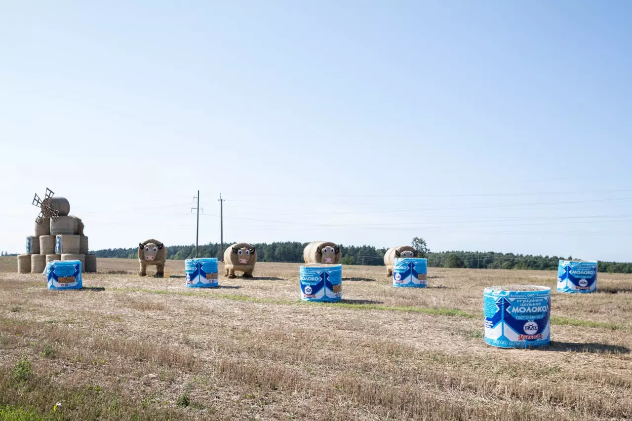 Крот-шахтёр, богомол-переросток и крейсер «Аврора». На полях Беларуси устроили конкурс фигур из соломы