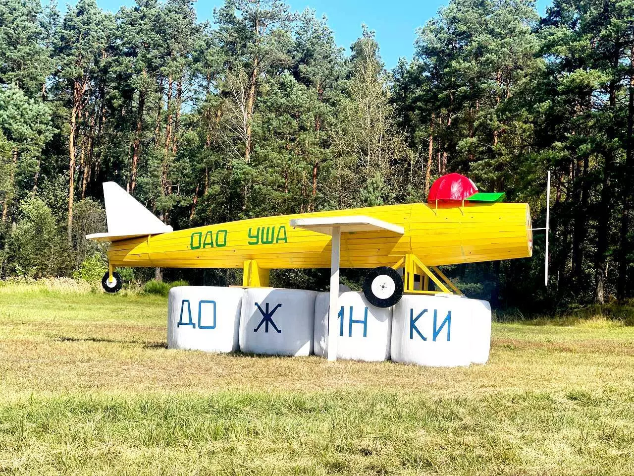 Крот-шахтёр, богомол-переросток и крейсер «Аврора». На полях Беларуси устроили конкурс фигур из соломы