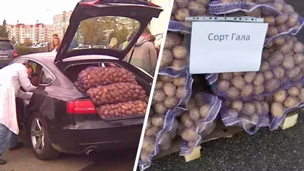 Где белорусам купить картошку за 70 копеек? Сравнили цены на ярмарках, в Сети и магазинах