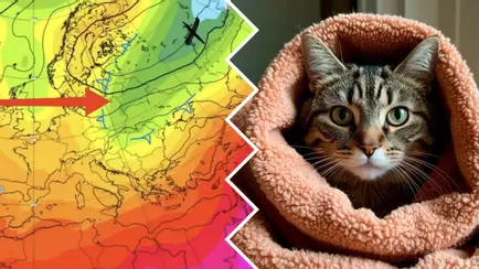 «Тепла не будет» — Синоптики предупредили о «высотной ложбине» в Беларуси на следующей неделе. А снег?