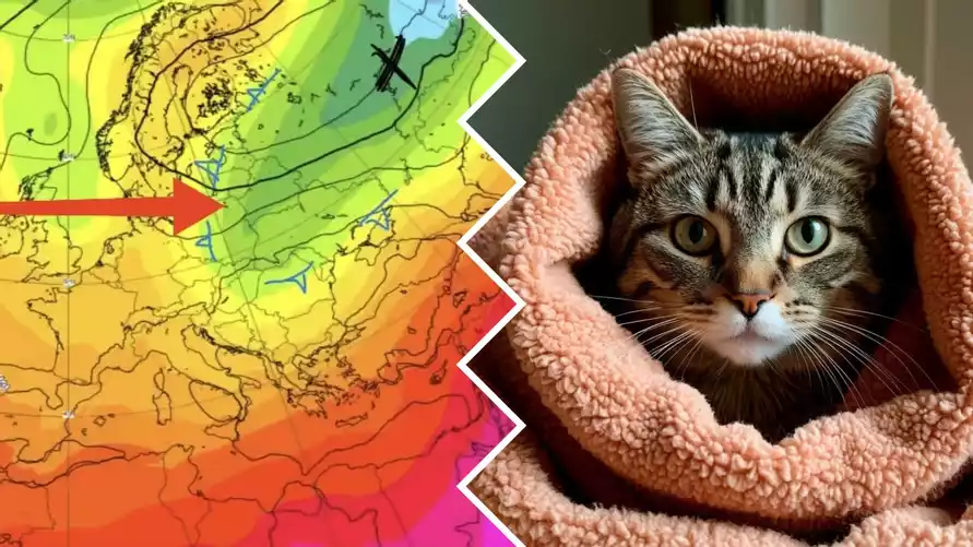 "Тепла не будет" - Синоптики предупредили о "высотной ложбине" в Беларуси на следующей неделе. А снег?