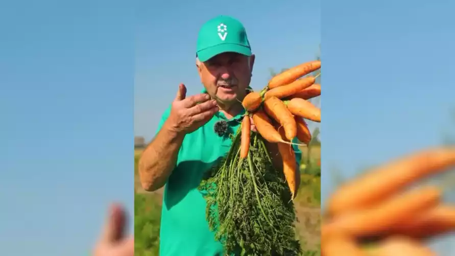 Почему морковь не хранится? Эксперт объяснил, как избежать 3 самых частых ошибок