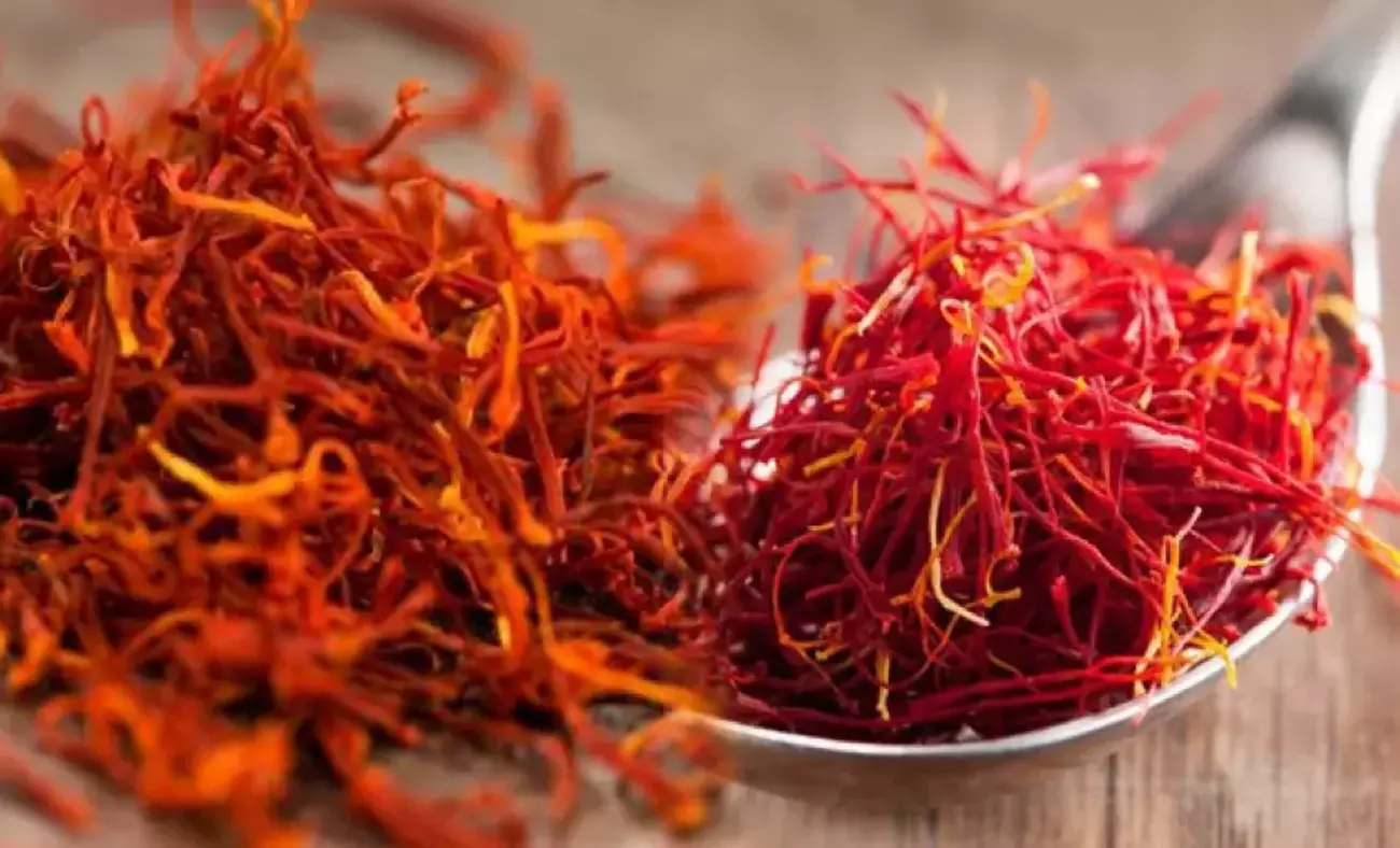 Как белорусам вырастить самую дорогую пряность в мире? Если посадите сейчас, урожай соберете уже в ноябре