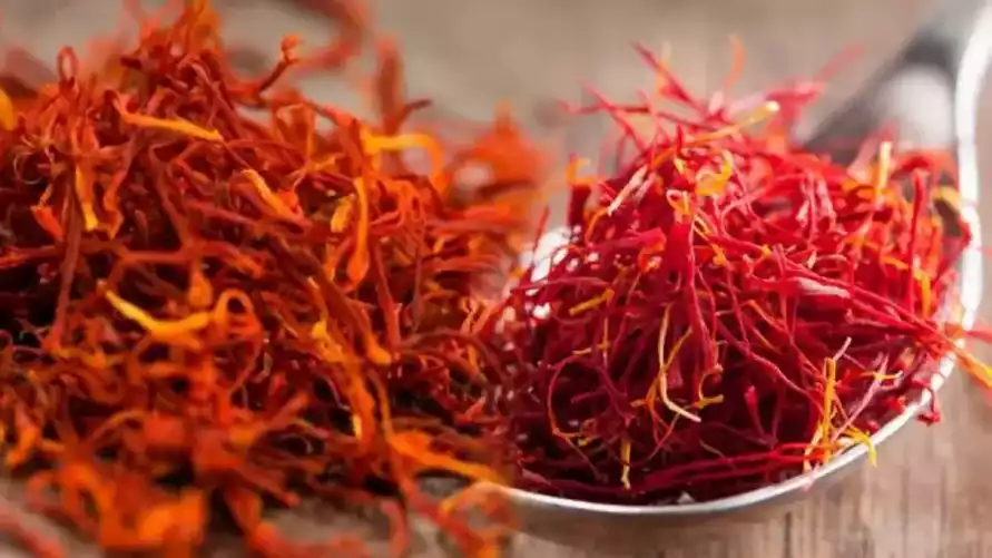 Как белорусам вырастить самую дорогую пряность в мире? Если посадите сейчас, урожай соберете уже в ноябре