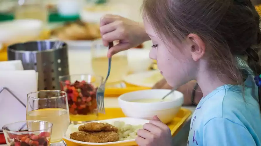 Фото иллюстрационное