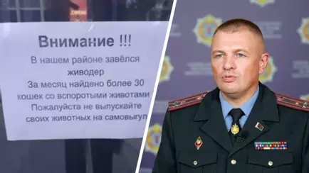 В милиции отчитались о вскрытии растерзанных котов в Минске. Кто «вероятный преступник»?