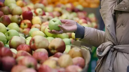 Поляки приготовились продавать в Беларусь яблоки «более низкого качества»