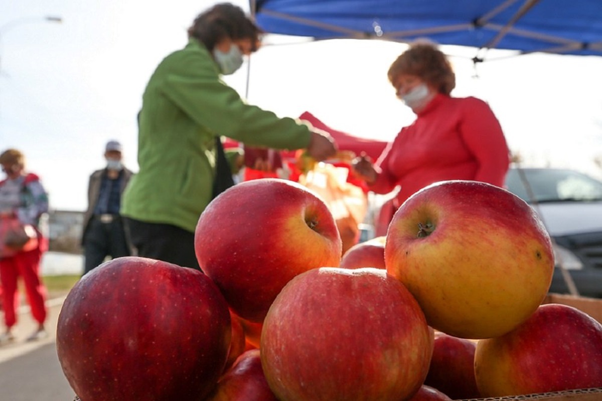 Фото иллюстрационное