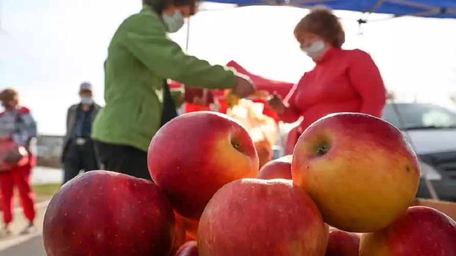Фото иллюстрационное