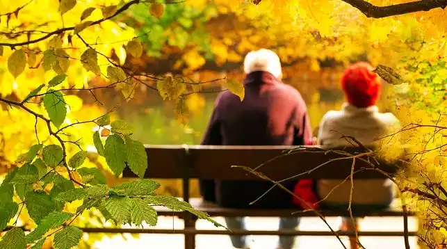 Синоптики рассказали, каким будет октябрь в Беларуси - «Солнце не хочет высоко подниматься»