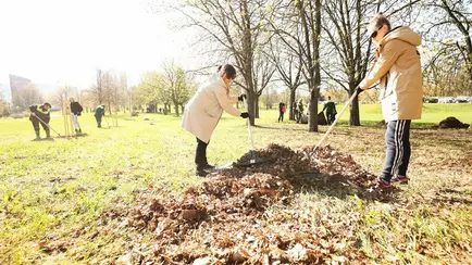 Совмин объявил в Беларуси Республиканский субботник