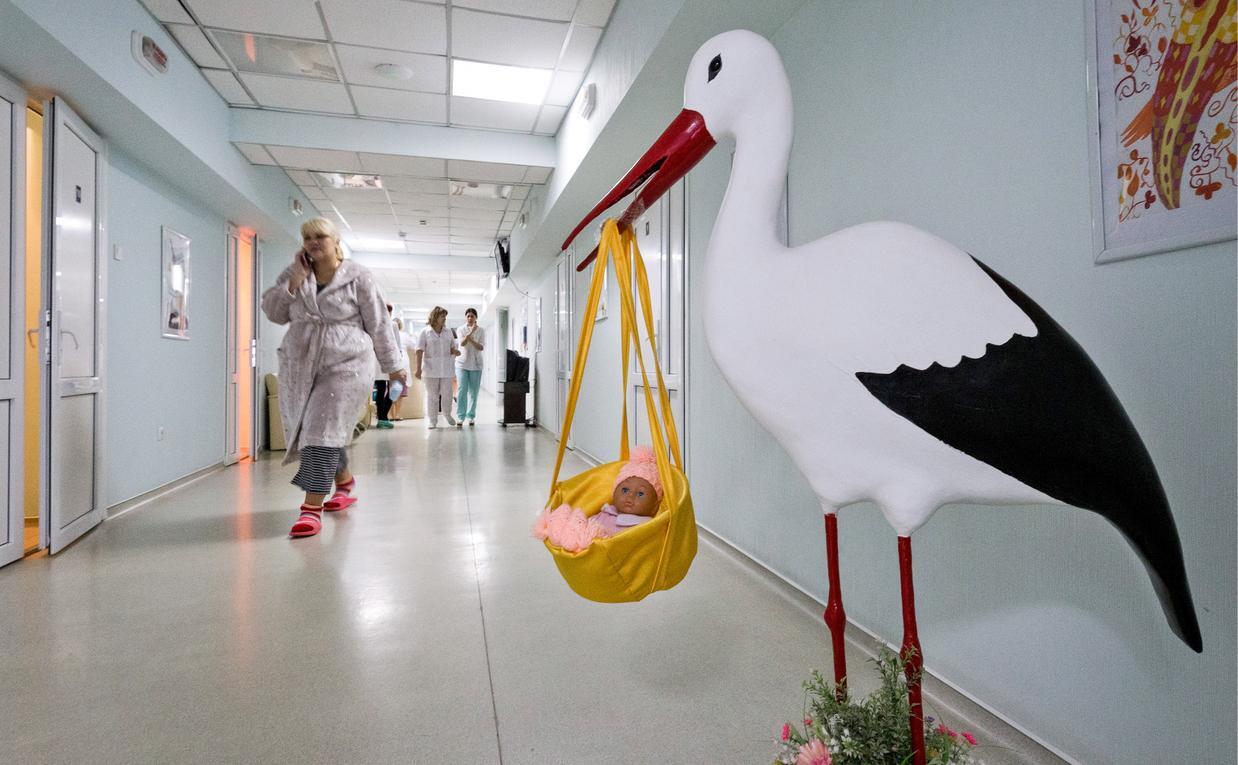 Фото иллюстрационное