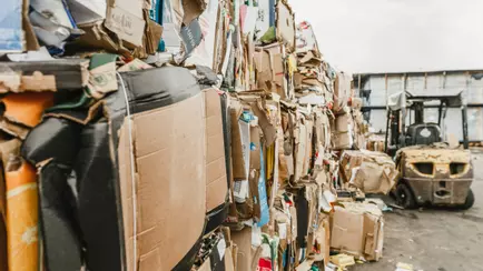 Совмин ограничил вывоз из Беларуси макулатуры