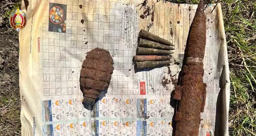 ГУБОПиК задержал на Могилевщине двух пенсионеров-торговцев оружием