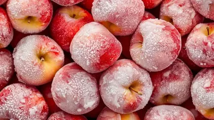 Можно ли замораживать яблоки на зиму? Разобрались зачем это нужно и нашли важный нюанс