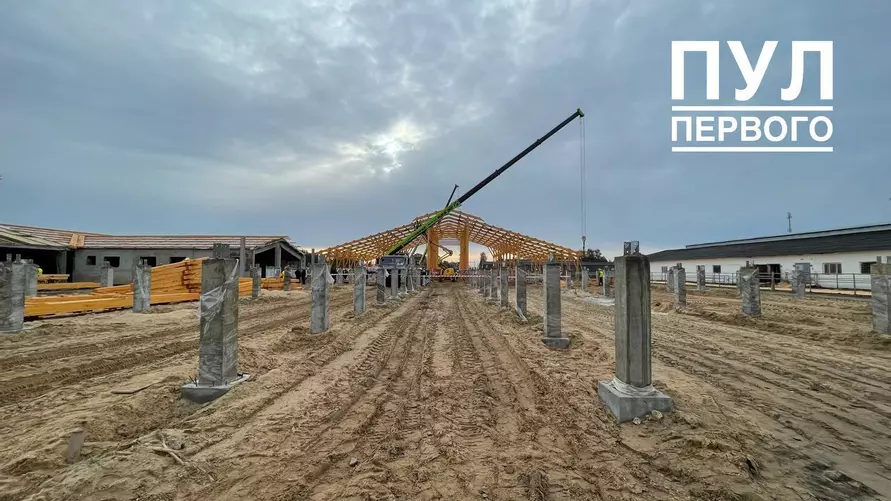 Лукашенко показали строительство и деревянного коровника - По всей стране будем тиражировать