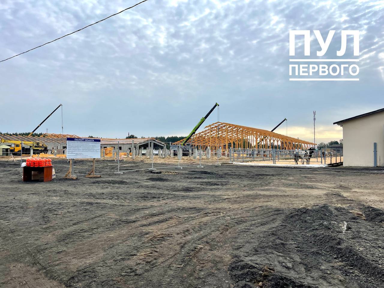 Лукашенко показали строительство и деревянного коровника - "По всей стране будем тиражировать"