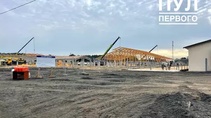 Лукашенко показали строительство и деревянного коровника — «По всей стране будем тиражировать»