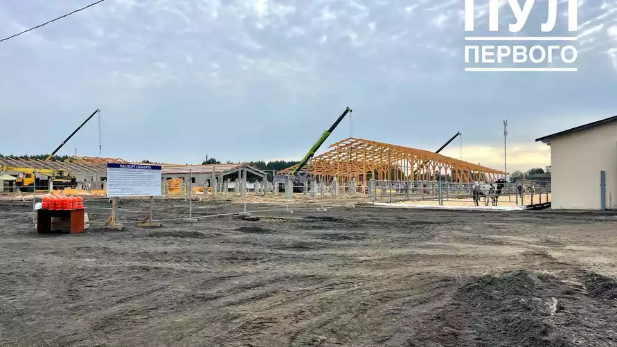 Лукашенко показали строительство и деревянного коровника - "По всей стране будем тиражировать"