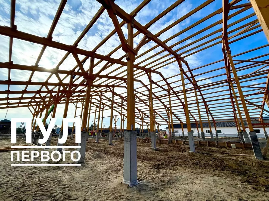 Лукашенко показали строительство и деревянного коровника - По всей стране будем тиражировать