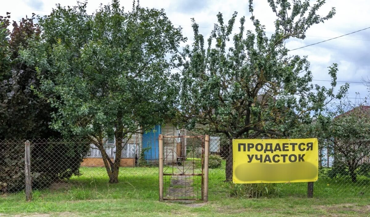 Сколько стоит купить землю белорусам? В Госкомимущества назвали цены за сотку