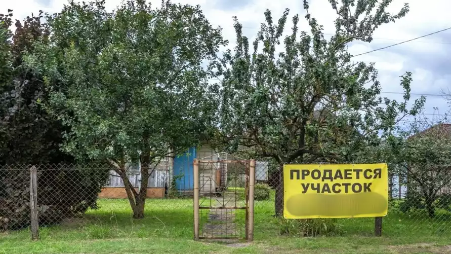 Сколько стоит купить землю белорусам? В Госкомимущества назвали цены за сотку