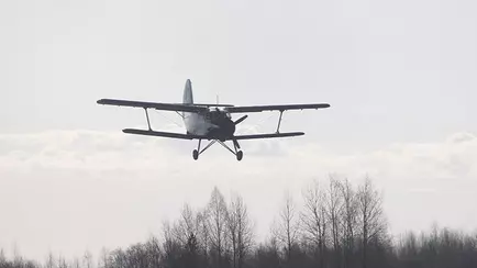 Польский самолёт разбросал у границы капсулы. Белорусов попросили не трогать