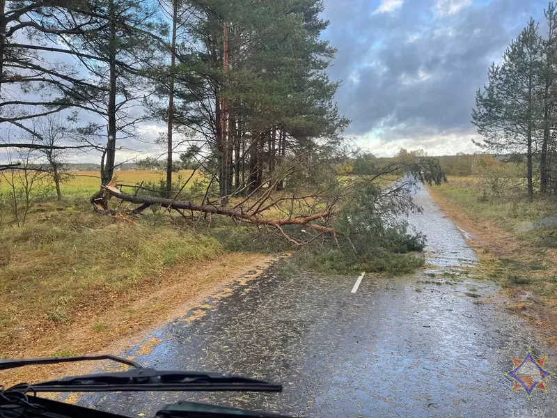 Шквалистый ветер снёс телятник на Могилёвщине и оставил без света десятки деревень Витебщины