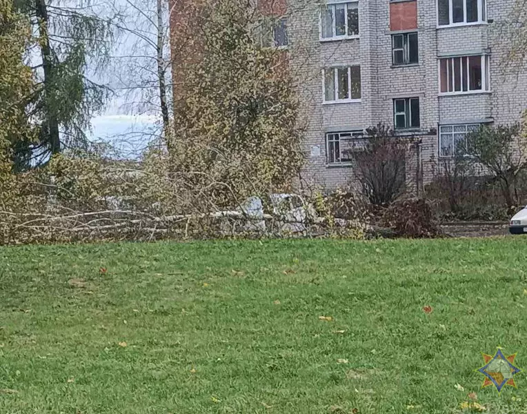 Шквалистый ветер снёс телятник на Могилёвщине и оставил без света десятки деревень Витебщины