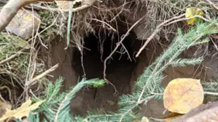 Польша показала «тоннель из Беларуси»