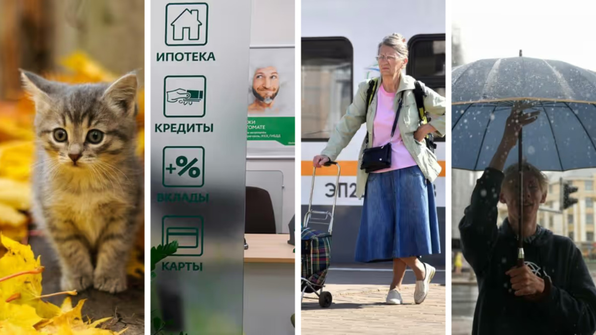 Новые правила по кредитам и отмена льгот для дачников. Что ещё ждёт белорусов в ноябре?