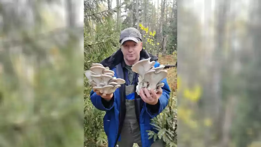 "Жить хотим" - Грибник показал "магазинные" грибы в лесу. Не все зрители согласились их собирать