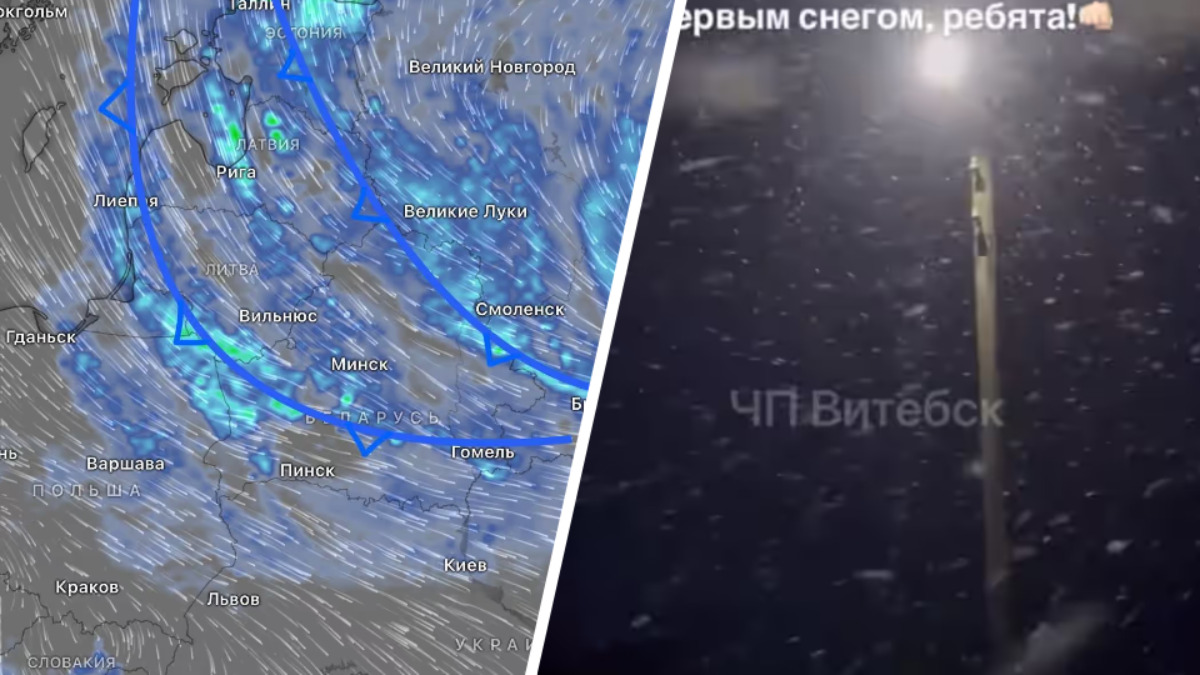 В Беларуси выпал первый снег. Синоптики рассчитали, когда грянут заморозки до -3°С, а когда потеплеет до +13°С