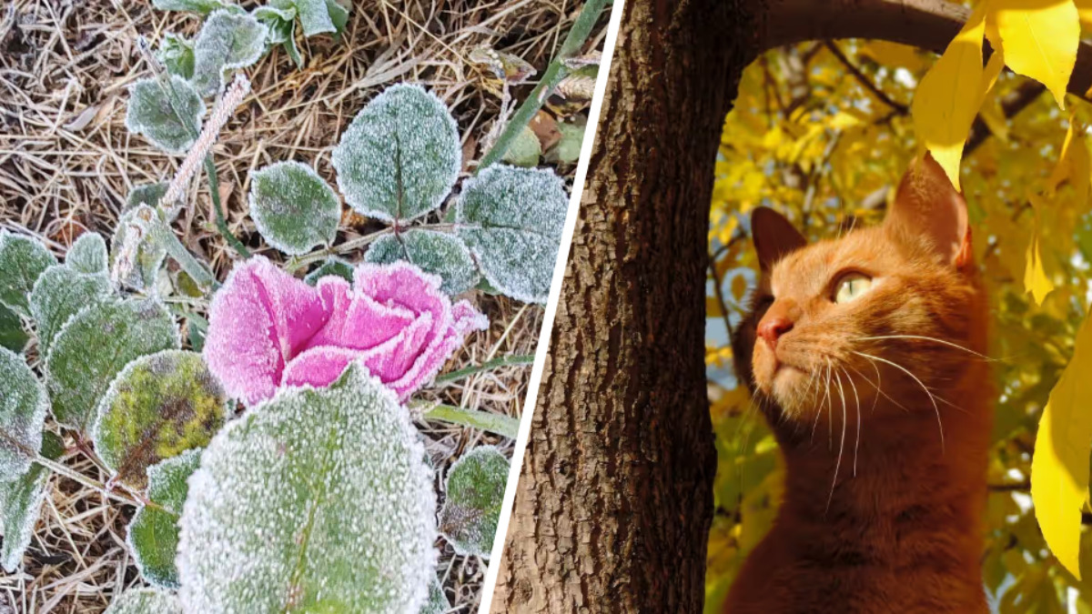 Синоптики пообещали белорусам потепление до +17°С к выходным и назвали сроки первого снега в октябре