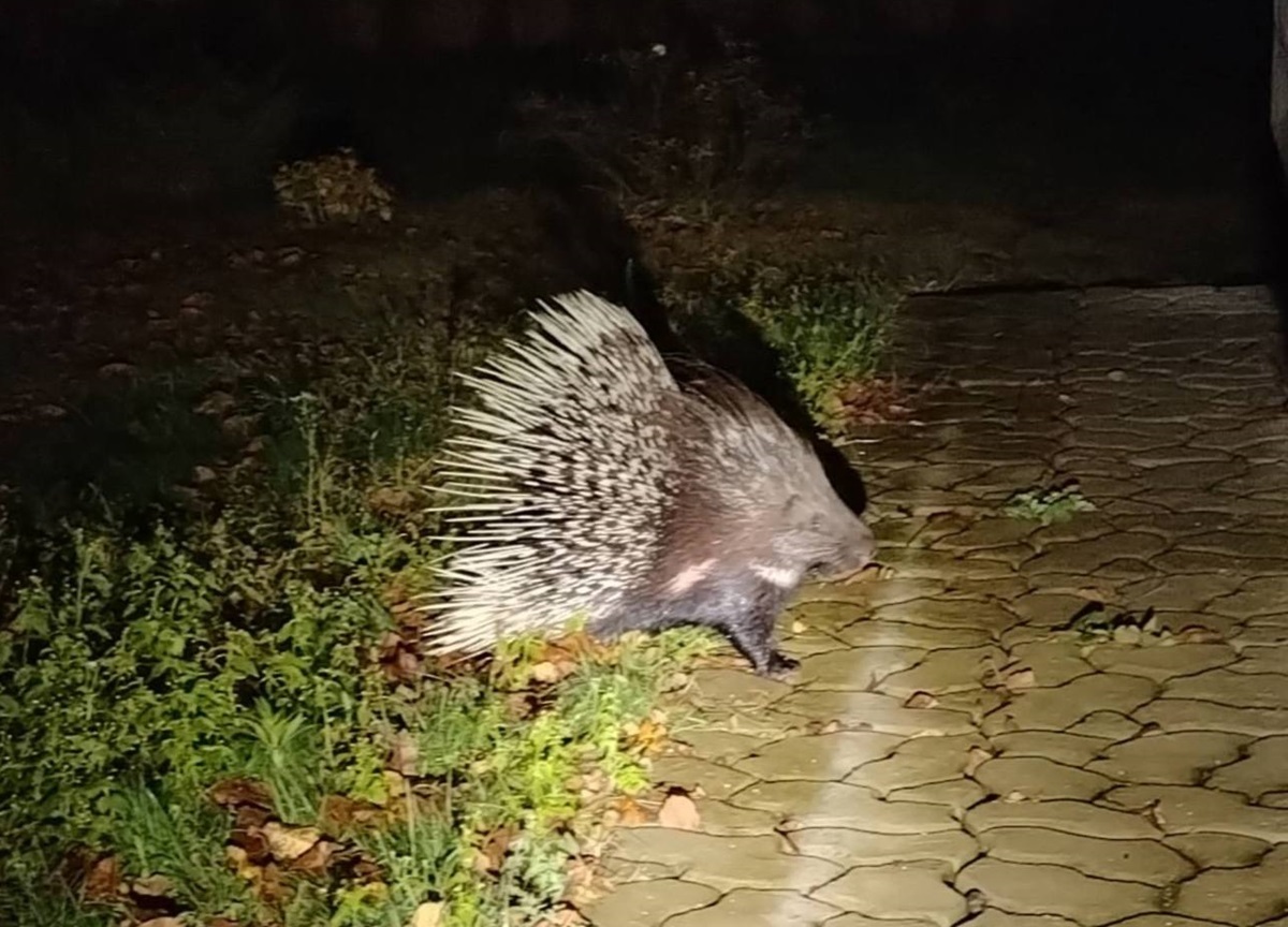 Фото: Минприроды РБ