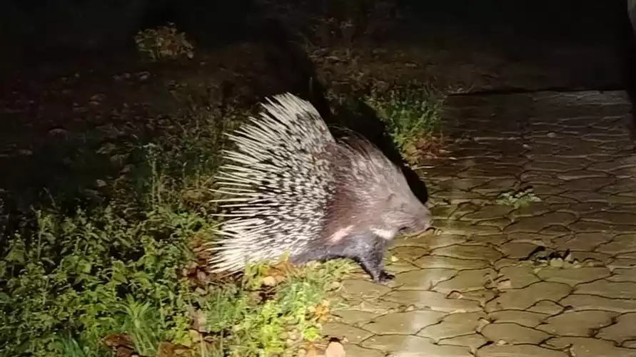 Фото: Минприроды РБ