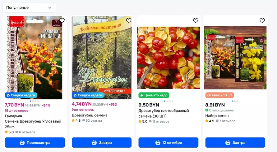 Штраф до 200 000 евро. Евросоюз ввел штрафы за выращивание популярного декоративного растения