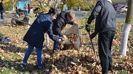 В Минске объявили субботники — «Главное одеться удобно»