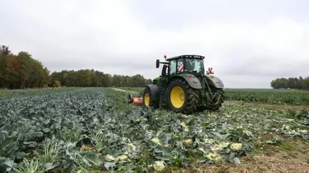 Польский фермер публично раздавил 25 000 кочанов капусты в знак протеста — «Вы можете себе это позволить?»