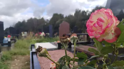 В Беларуси снизили пособие на погребение. Сколько будут платить с 1 октября?