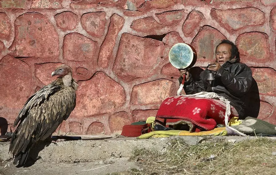 В Польше на кладбище установили телевизор. Для кого?