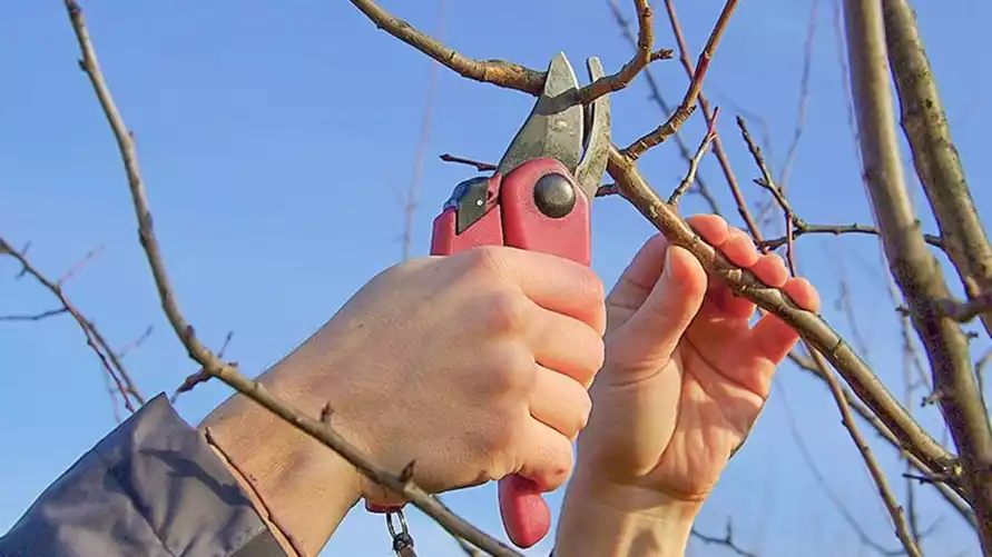 Фото иллюстрационное