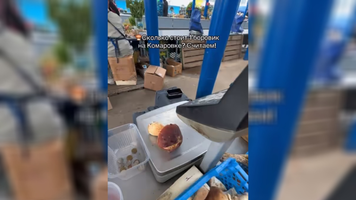 «Лучше красной рыбой буду питаться» - Цена одного боровика на минской Комаровке разделила TikTok на два лагеря