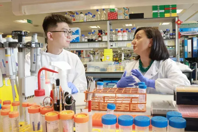 Когда же стоматологи начнут выращивать зубы вместо имплантов? Учёные уже тестируют 3 метода