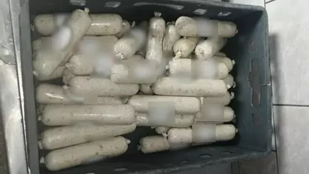 Госконтроль Гомельщины показал «шпик из будущего»