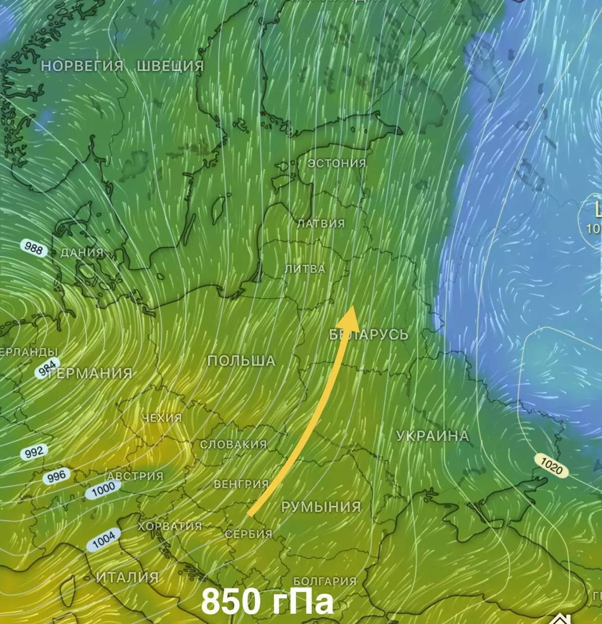 Синоптики назвали регион, где в Беларуси потеплеет до +17°С. Когда новая волна холода?